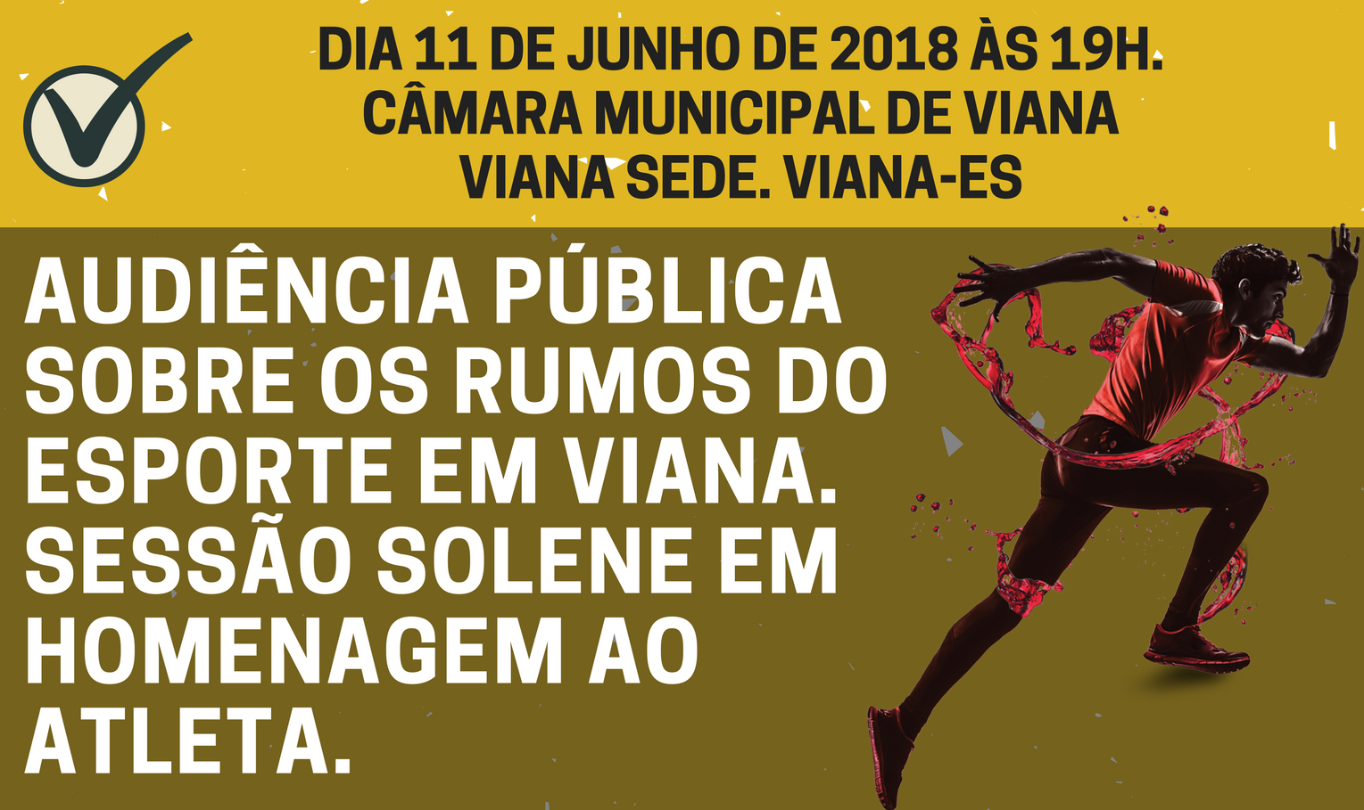 Audiência Pública sobre o Esporte em Viana